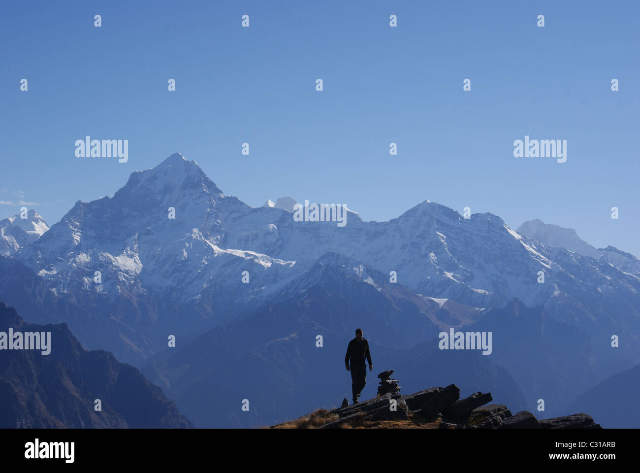 Garhwal Himalayas, India: Stock Photo