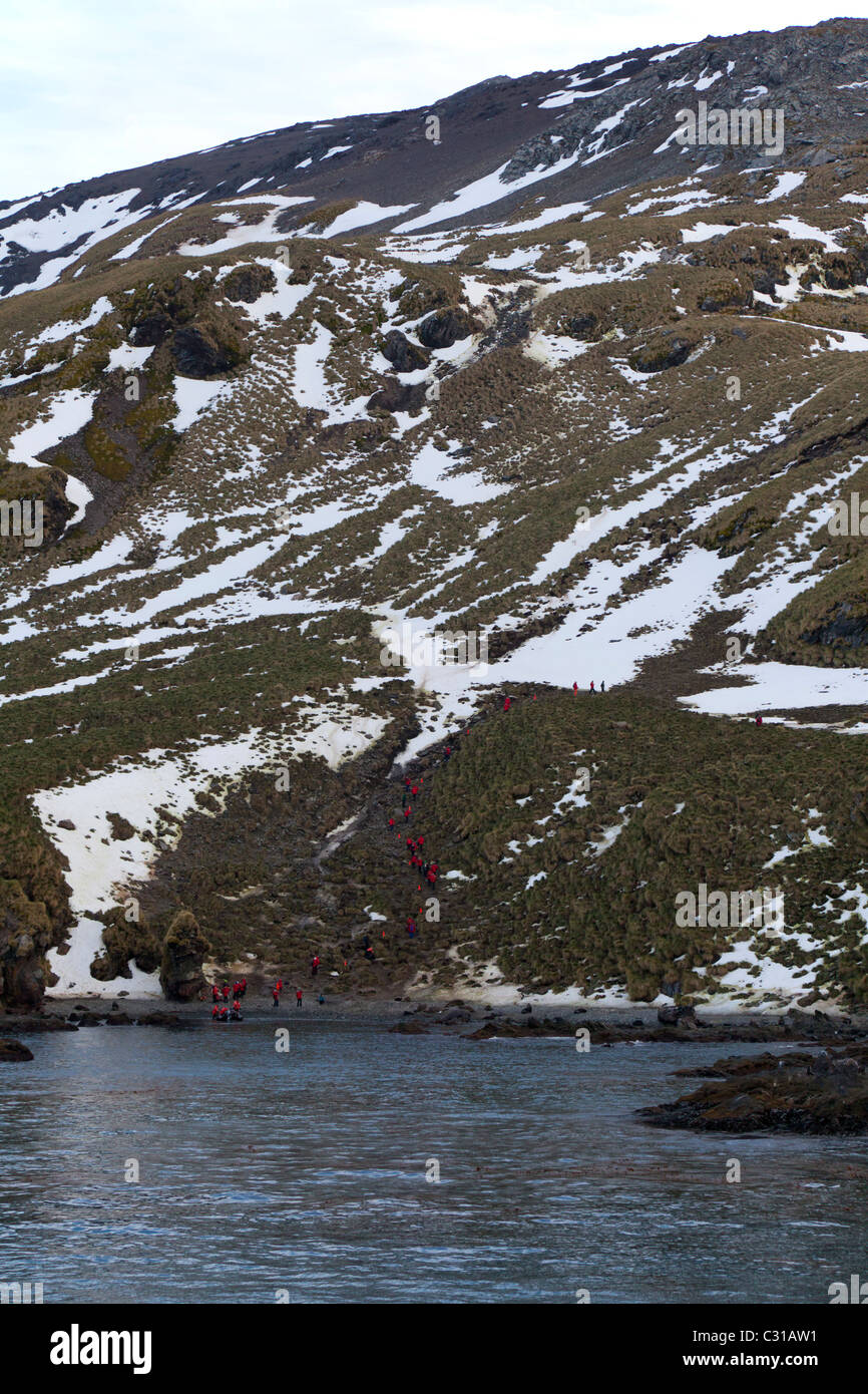 Cooper Bay, South Georgia Island Stock Photo