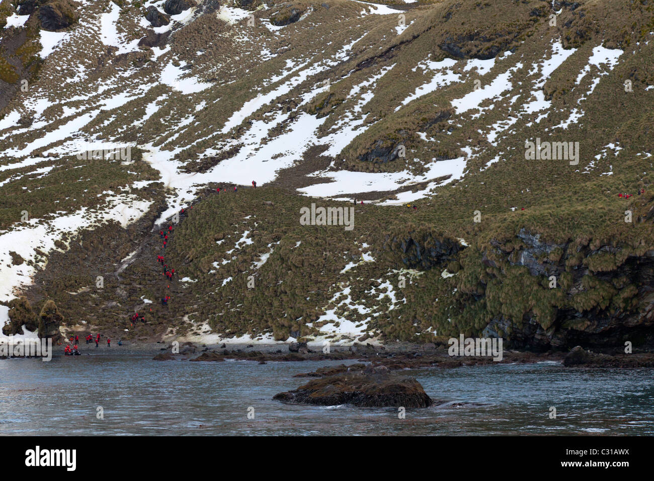 Cooper Bay, South Island Stock Photo Alamy