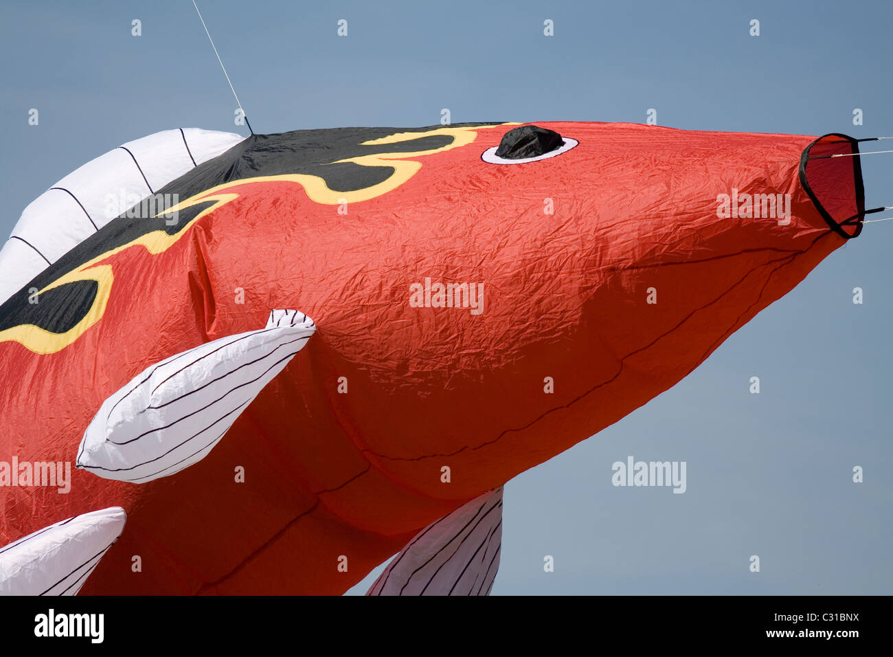A large red fish shaped kite at the family kite day at Streatham Park