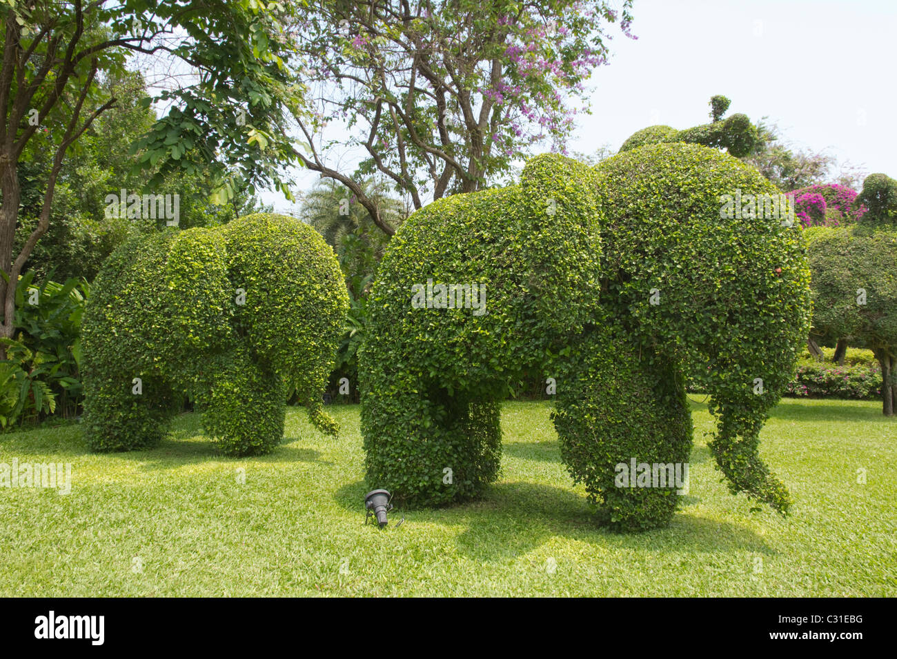 Topiary Hotel Gardens Thailand Stock Photo