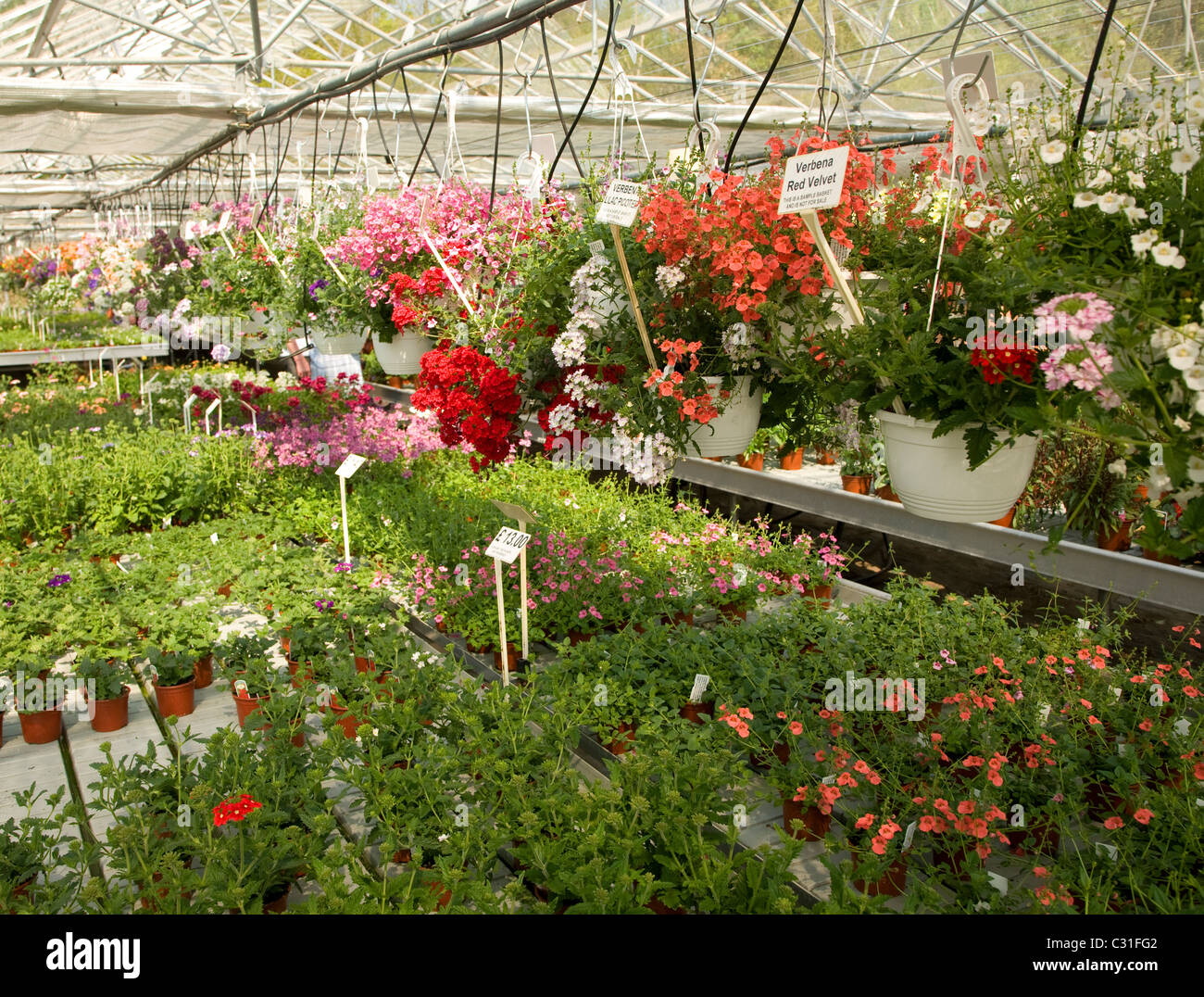 Hanging baskets england garden hires stock photography and images Alamy