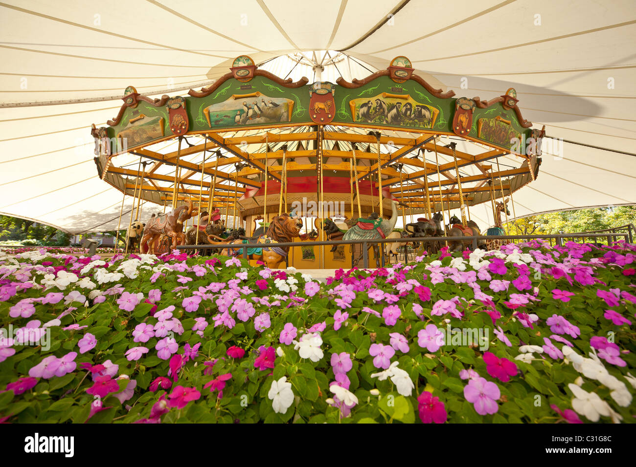Endangered species carousel hi-res stock photography and images - Alamy