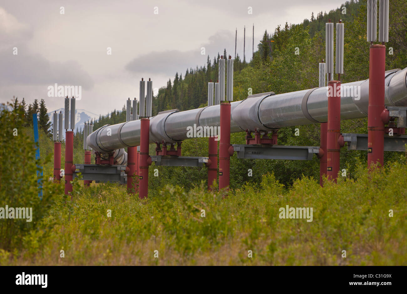 THOMPSON PASS, ALASKA, USA - The Trans-Alaska Pipeline System, also know as the Alyeska pipeline. Stock Photo