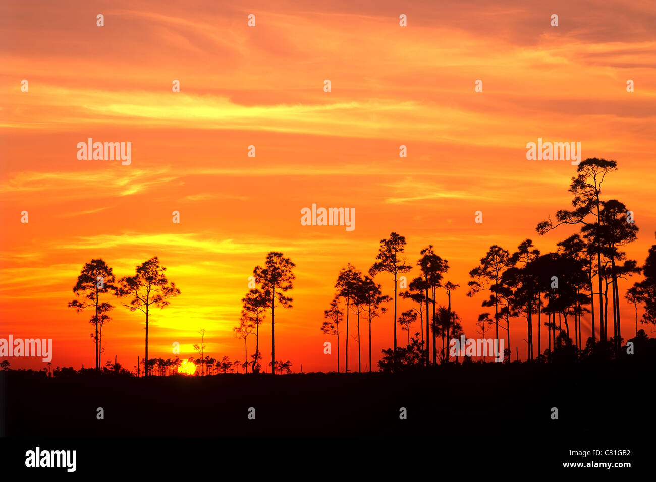 Sunset in Everglades National Park Florida Stock Photo
