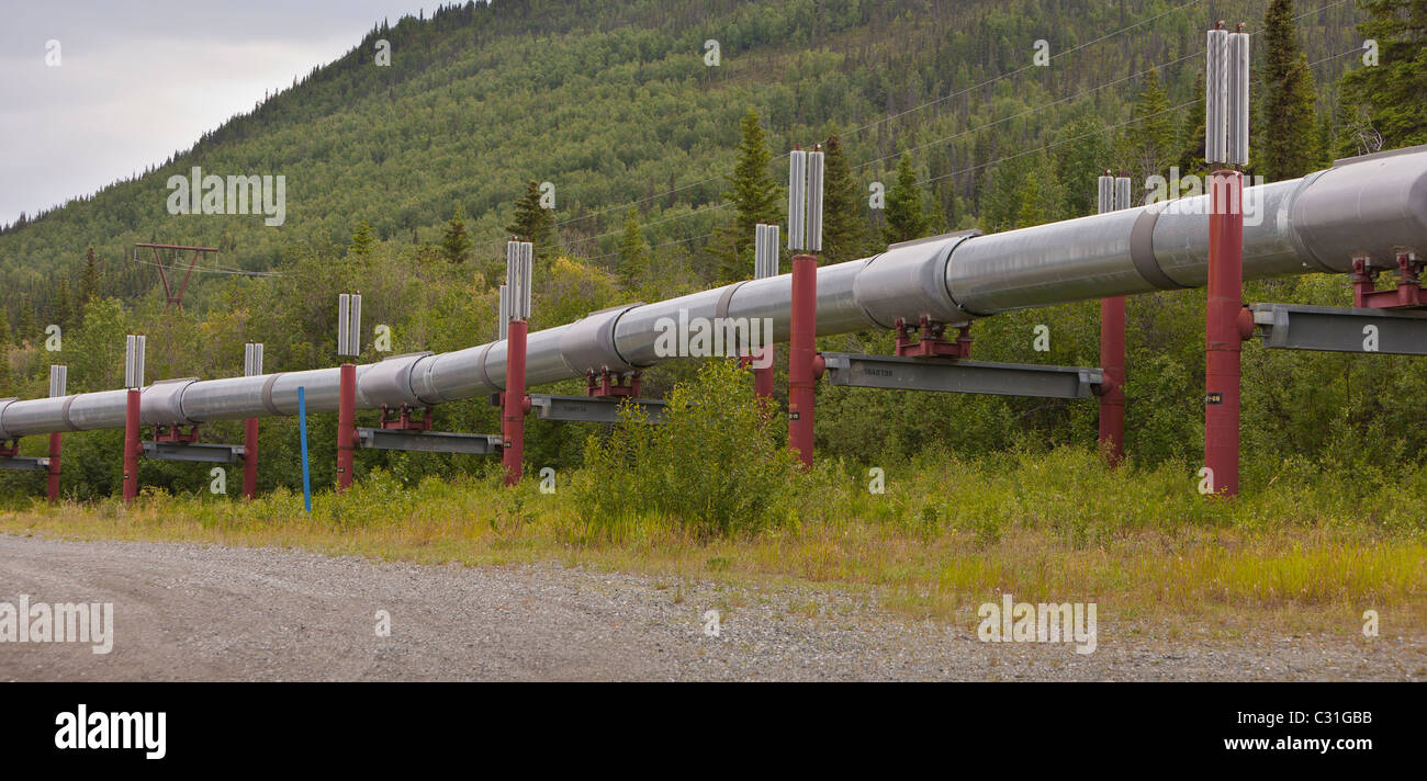 Alaskan pipeline dildo