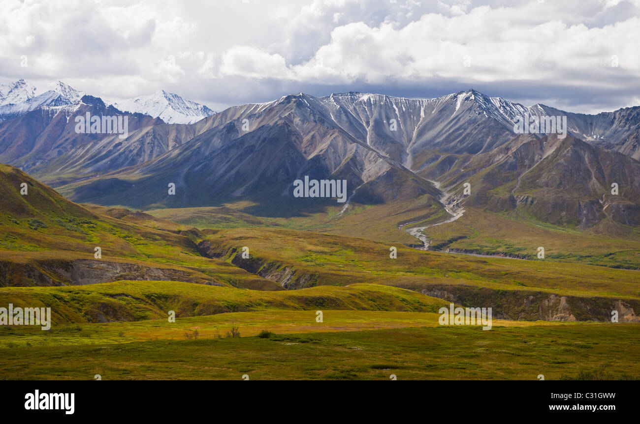 ALASKA, USA - Denali National Park. Stock Photo