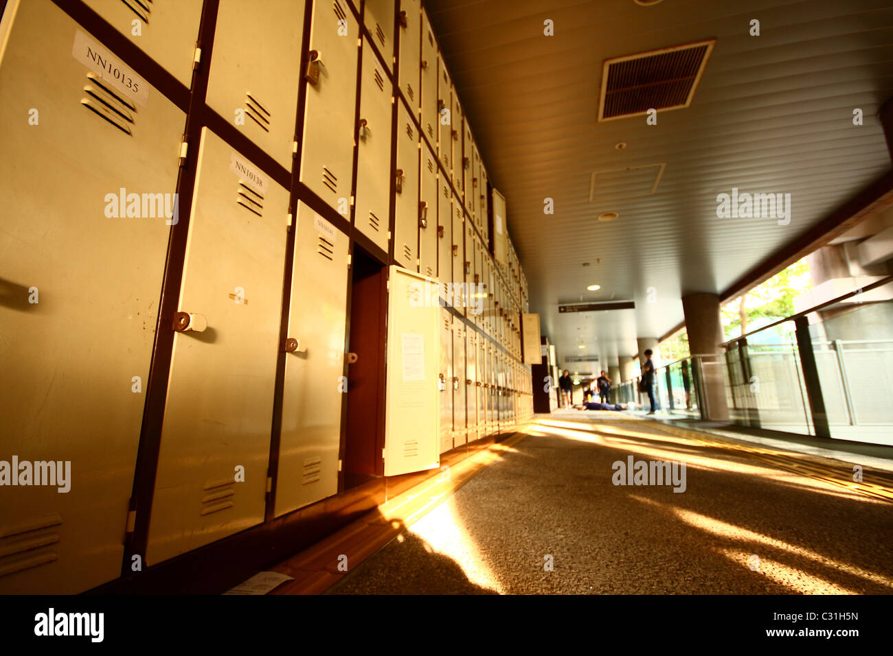 School Hallway with Student Lockers. Stock Photo