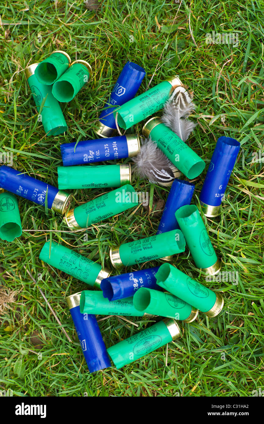 Spent cartridges from 12 bore shotgun (6-28 gm and 28gm 1 ounce) in English countryside Stock Photo