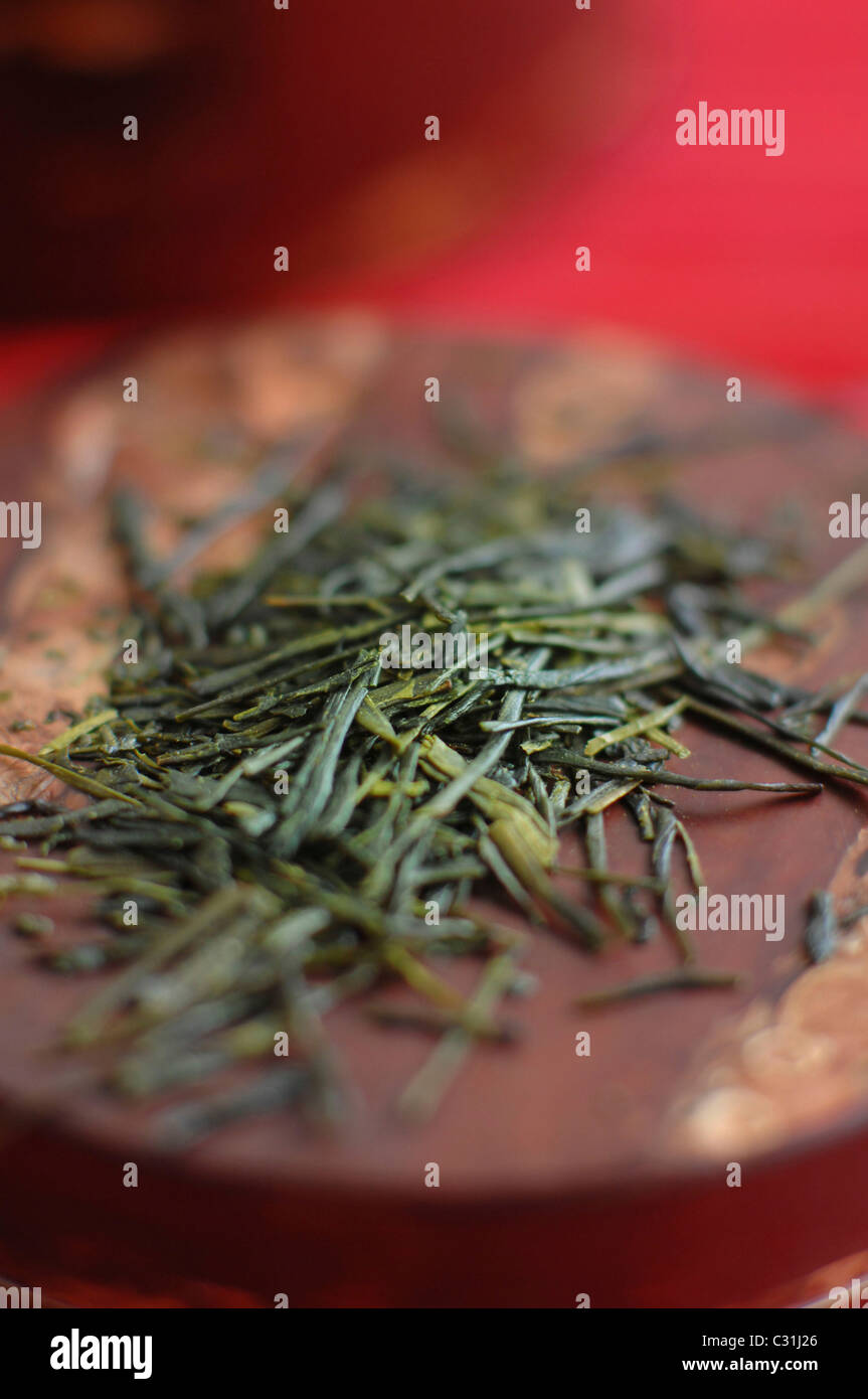 Gyokuru LEAVES OF HIGH QUALITY JAPANESE GREEN TEA (GYOKURO) WITH A MILD SEAWEED ...