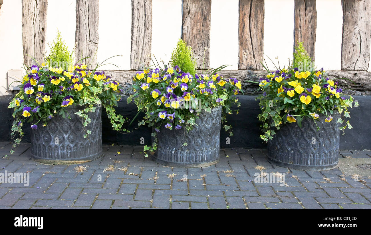 Spring flower display hi-res stock photography and images - Alamy