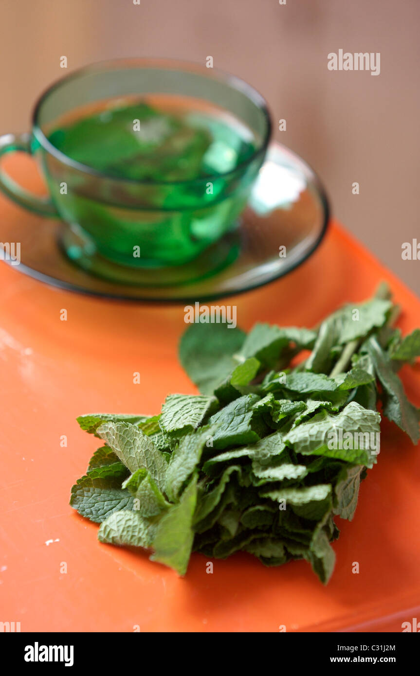 Bunch of fresh mint with a glass of mint tea in the background Stock Photo