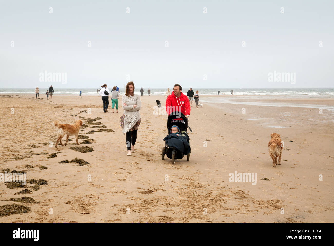 A young family with their baby and dogs walking on the beach at Holkham, North Norfolk, UK Stock Photo