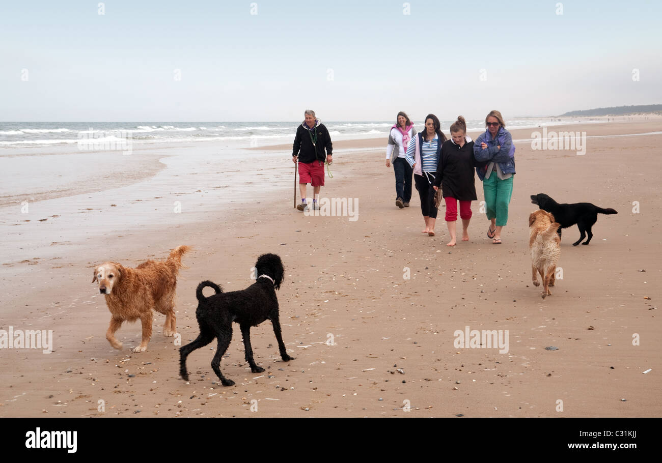 A family walking their dogs on Holkham beach, the North Norfolk coast, UK Stock Photo