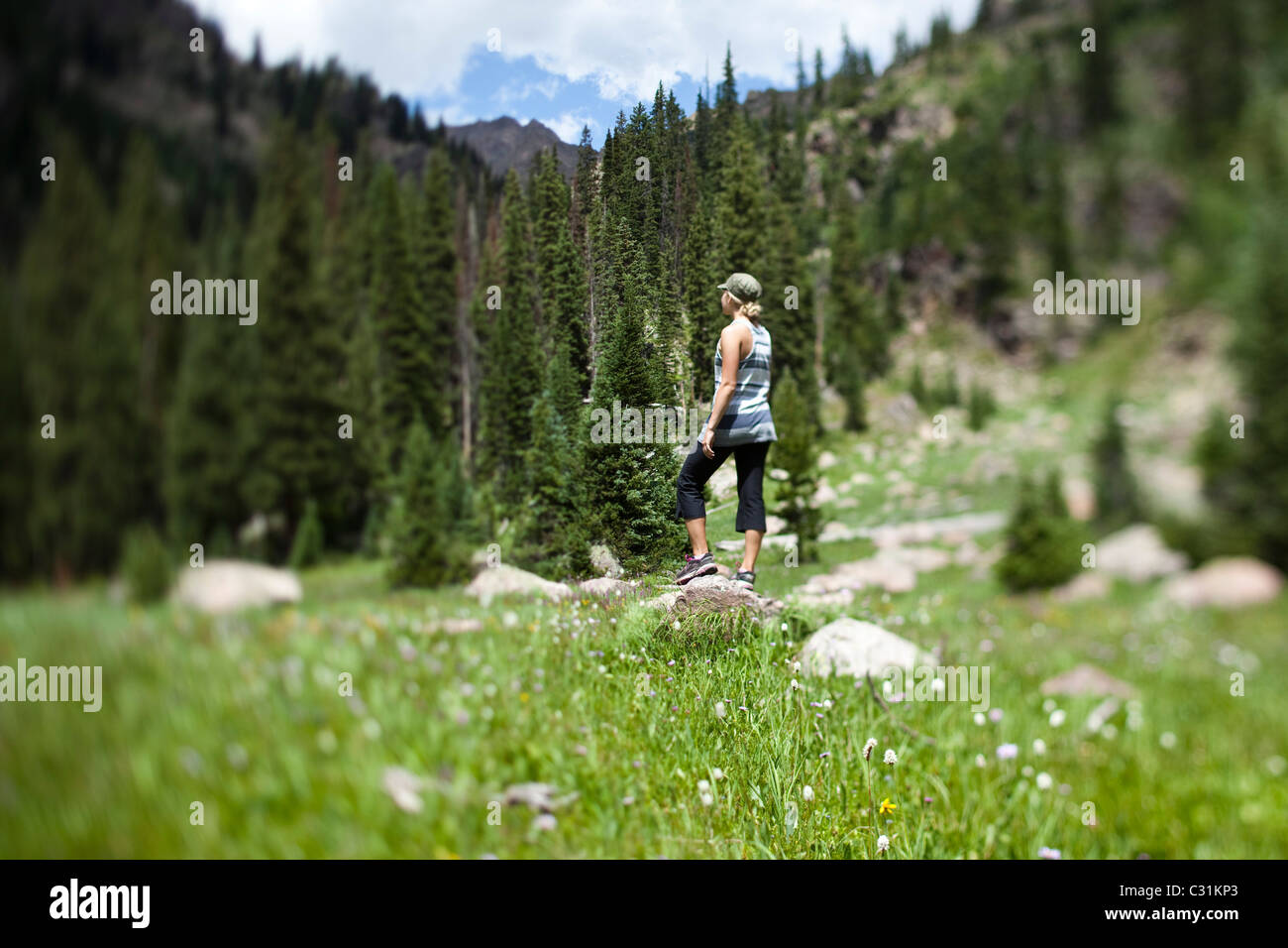 A young woman stands in a field of wildflowers taking in the view. Stock Photo