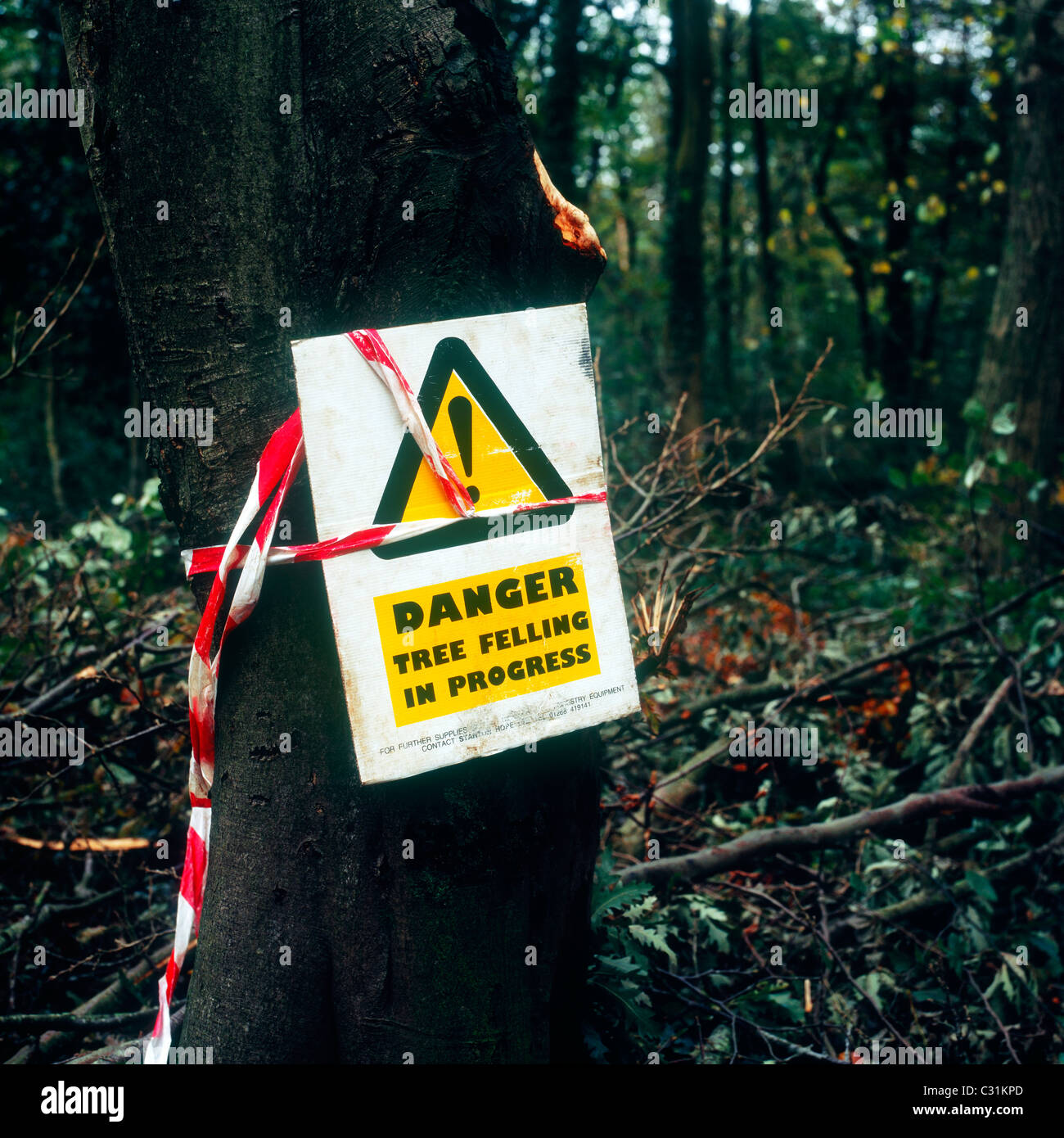 Danger Tree Felling in Progress warning sign in Weston Woods, Weston