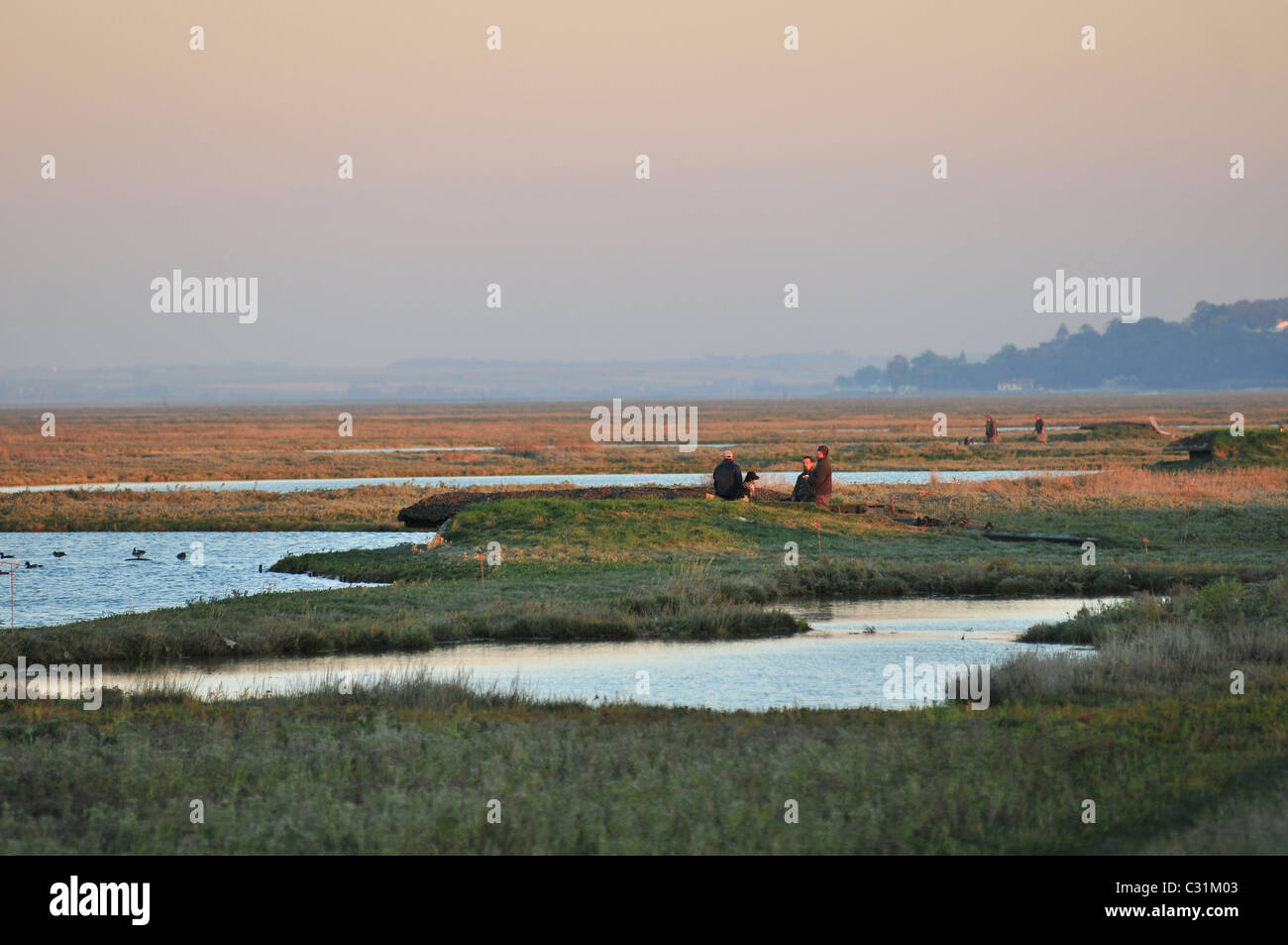 HUNTING POND AND SALT MEADOWS, BAY OF SOMME, SOMME (80), FRANCE Stock Photo