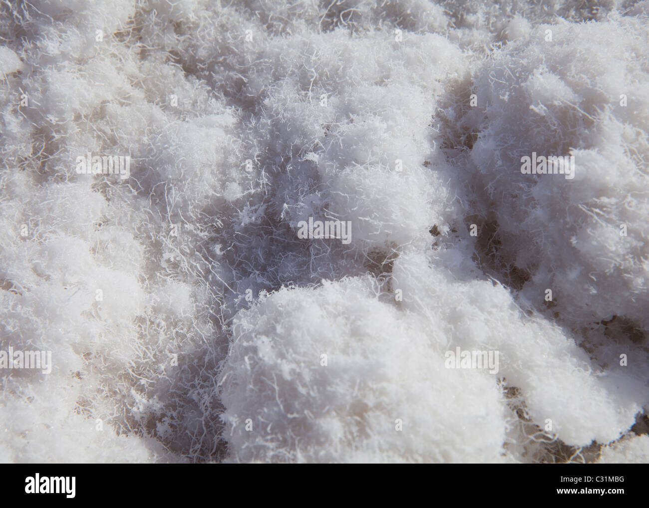 Closeup detail of salt crystals on dry salt lake surface Stock Photo
