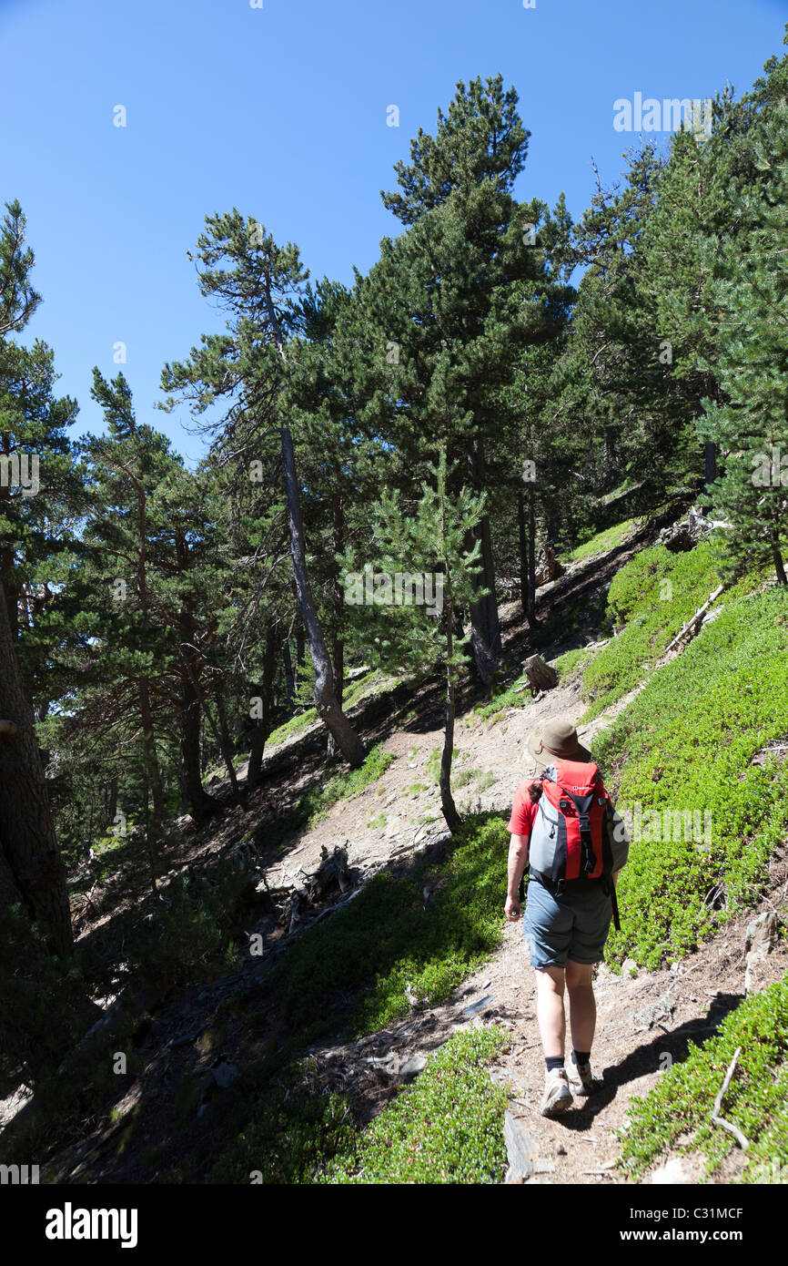 Woman backpacker on Cami Interparochial CI footpath Coll d'Ordino and around Les Neres mountain Andorra Stock Photo