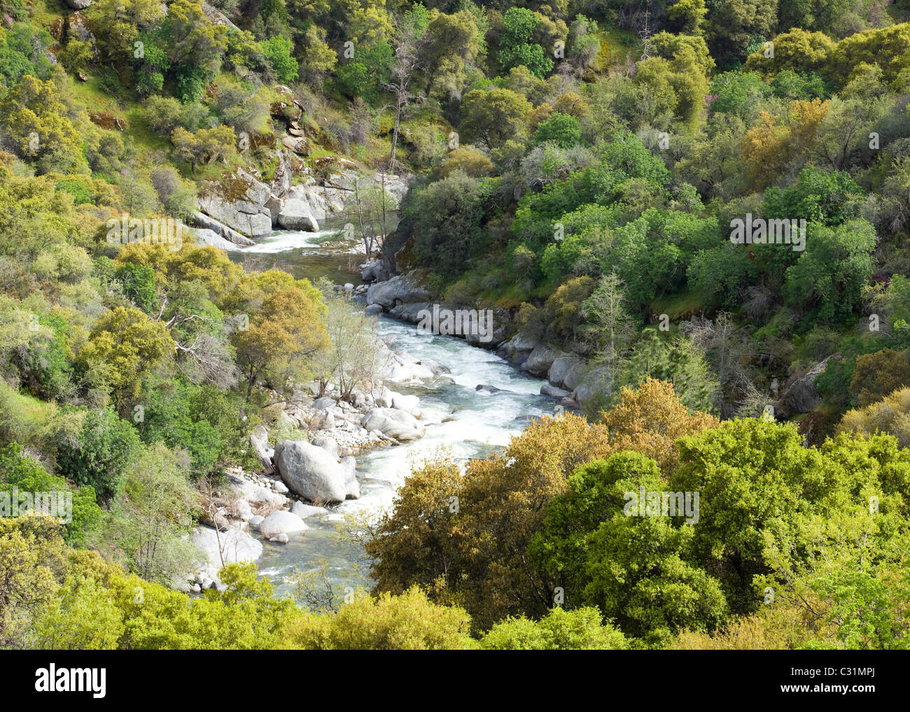 Small rocky river stream in a wooded valley Stock Photo