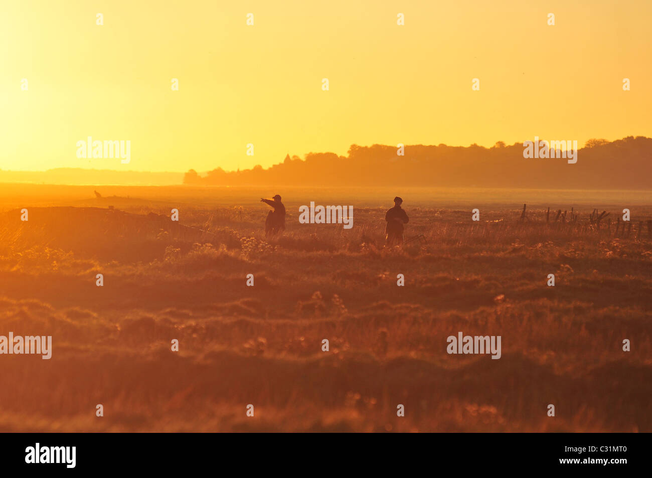 HUNTING SCENE IN A SALT MEADOW IN THE BAY OF SOMME, SOMME (80), FRANCE Stock Photo
