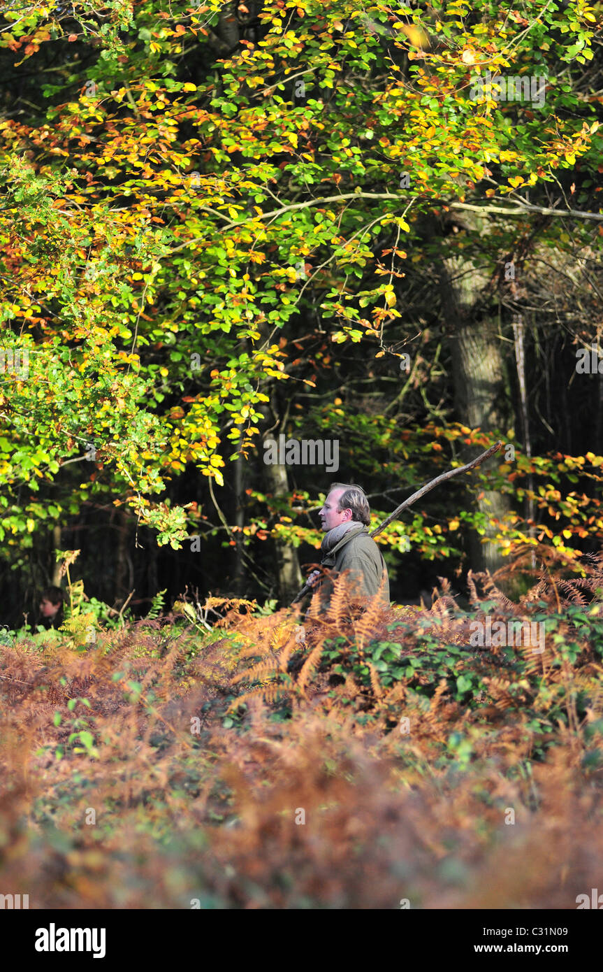 A BEATER FLUSHING OUT THE GAME DURING A BATTUE, HUNTING IN A PRIVATE