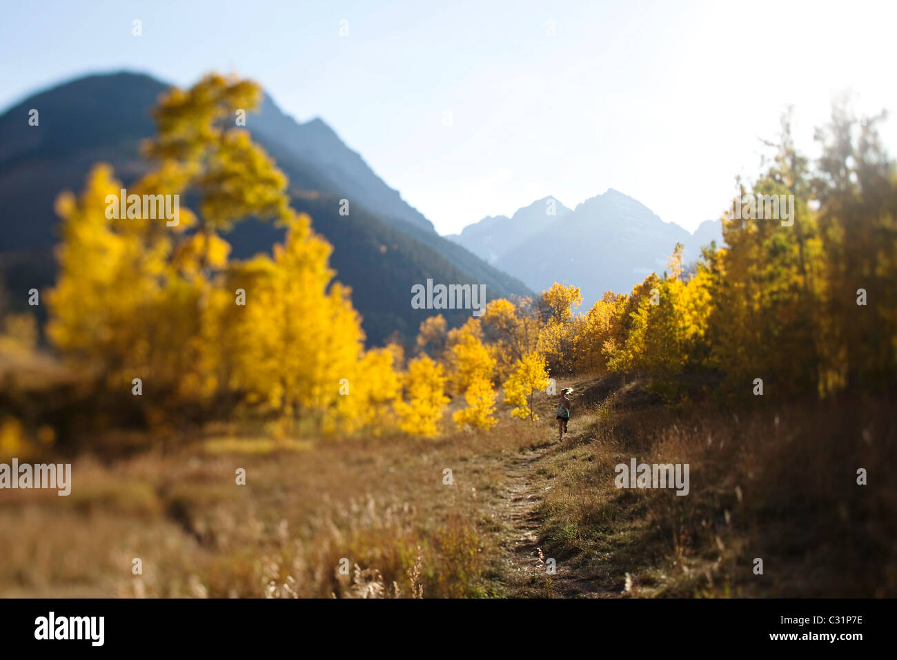 A young woman trail running in the fall colors Stock Photo - Alamy