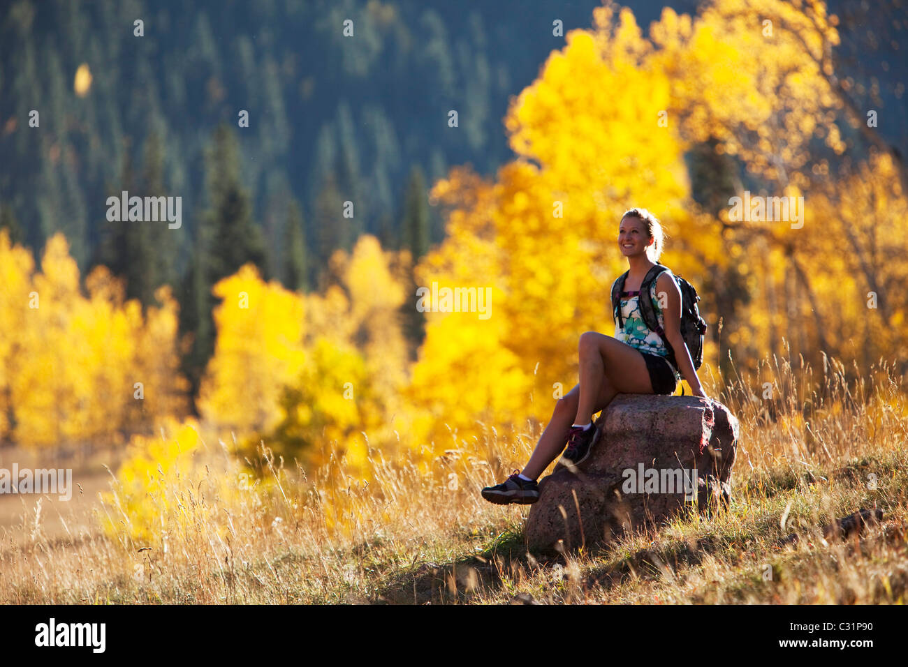 A young woman hiking stops and enjoys the beauty of the golden fall colors. Stock Photo