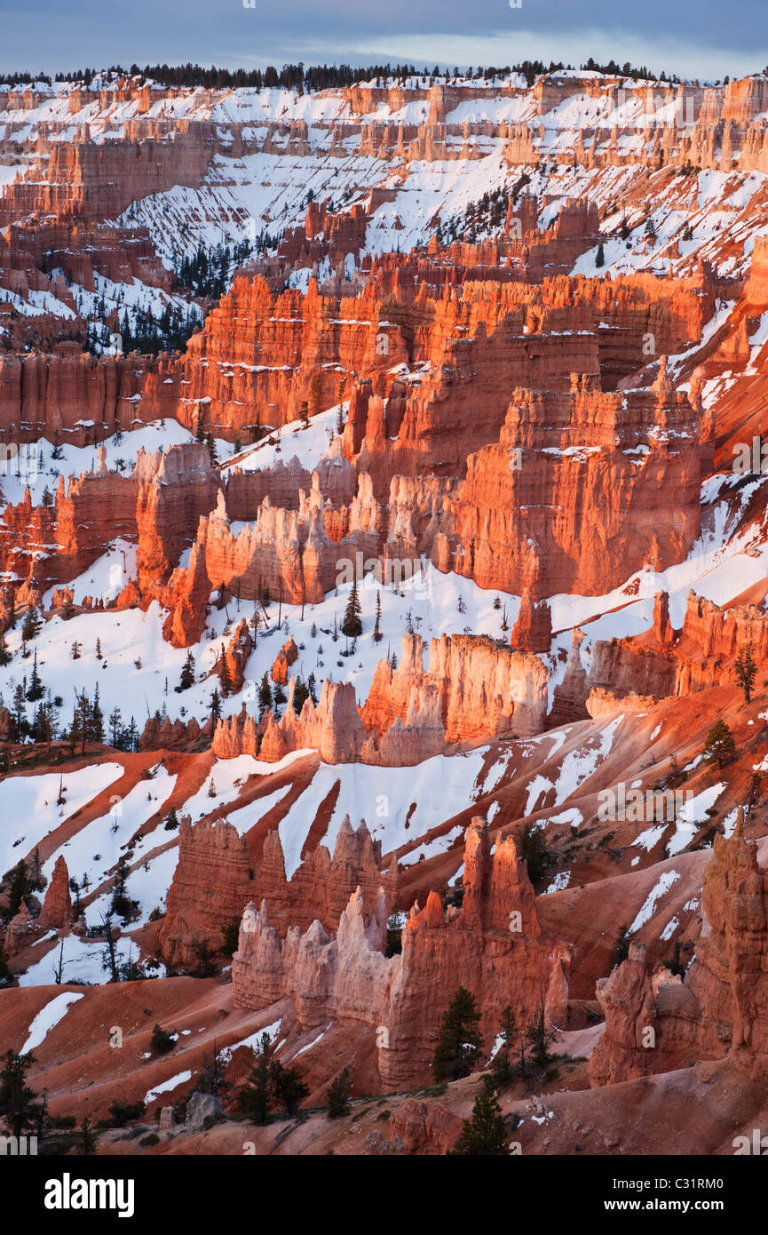 Hoodoo rock formationas at sunrise from Sunrise Point, Bryce Canyon ...