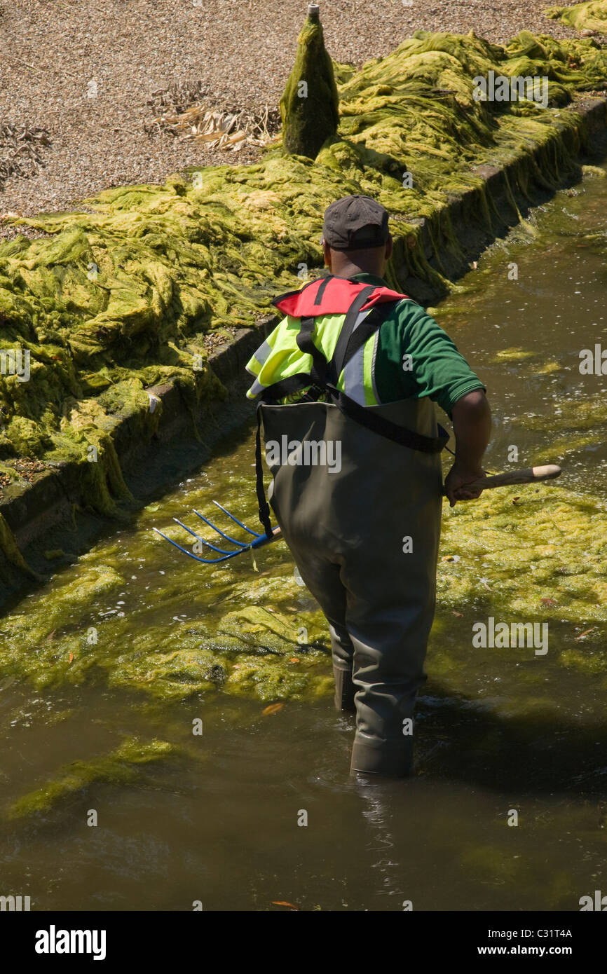 Man wearing waders Banque de photographies et d'images à haute résolution -  Alamy