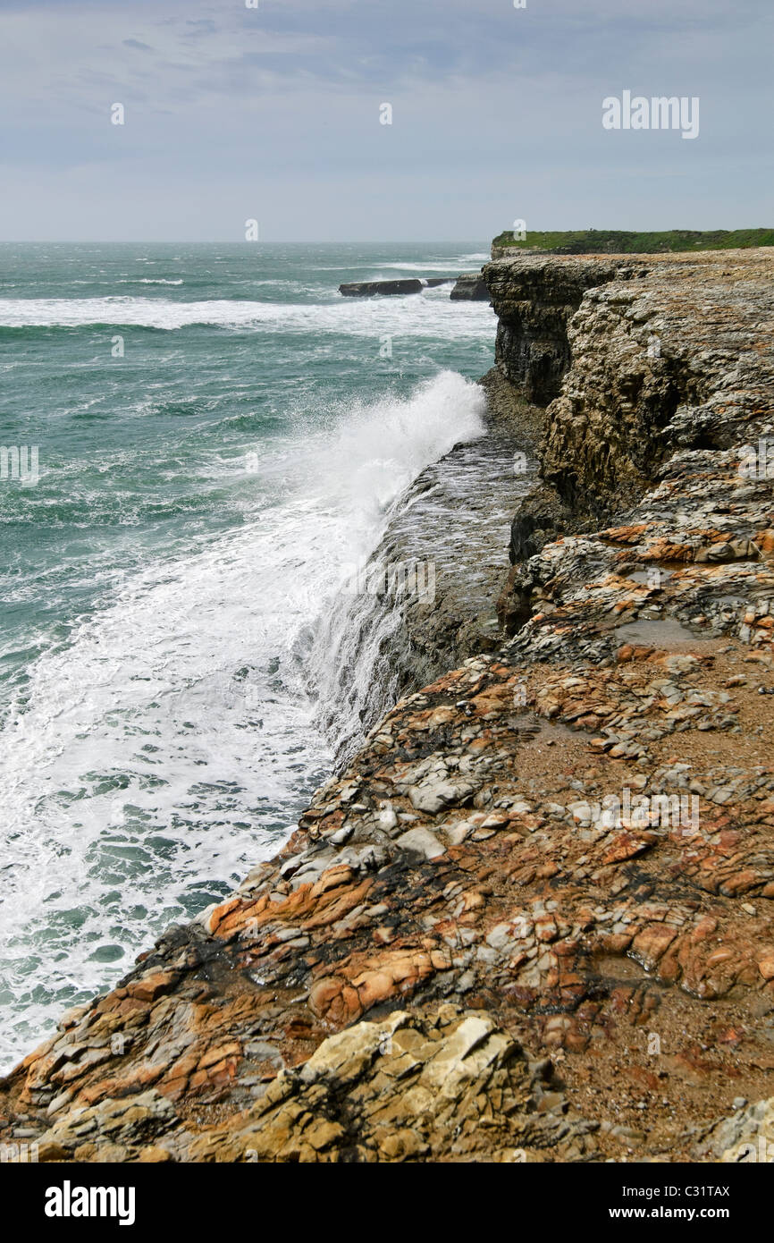 Dramatic views of the coastal bluffs of Wilder Ranch State Park in Santa Cruz. Stock Photo