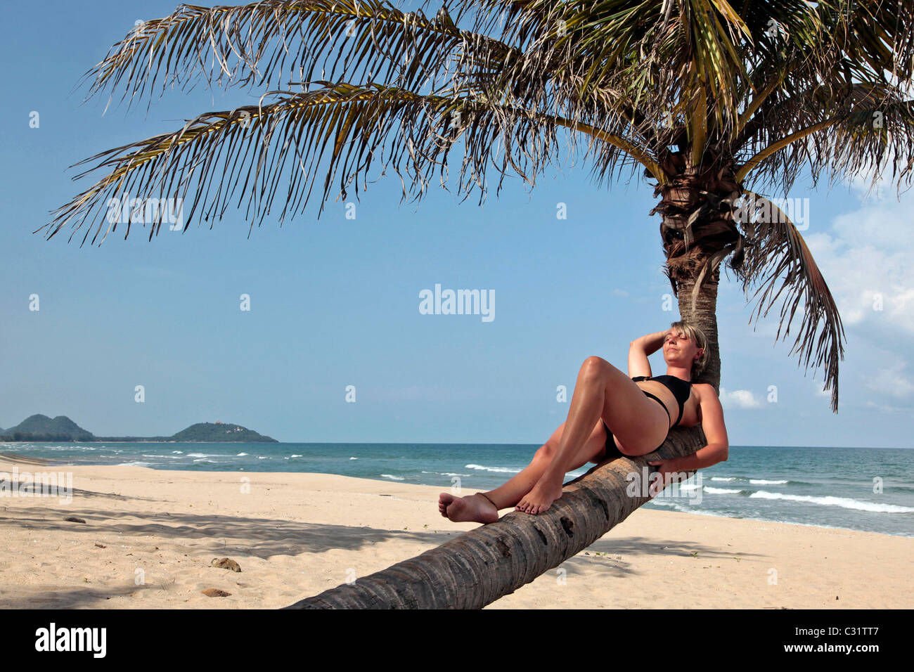 woman at the beach under a coconut tree stock photos woman at the