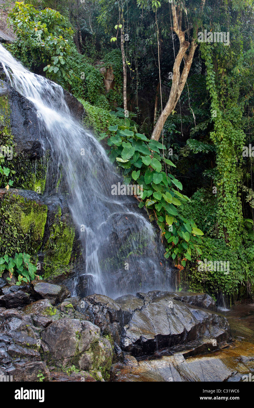 A CASCADE IN THE MIDDLE OF THE JUNGLE, BANG SAPHAN, THAILAND, ASIA Stock Photo