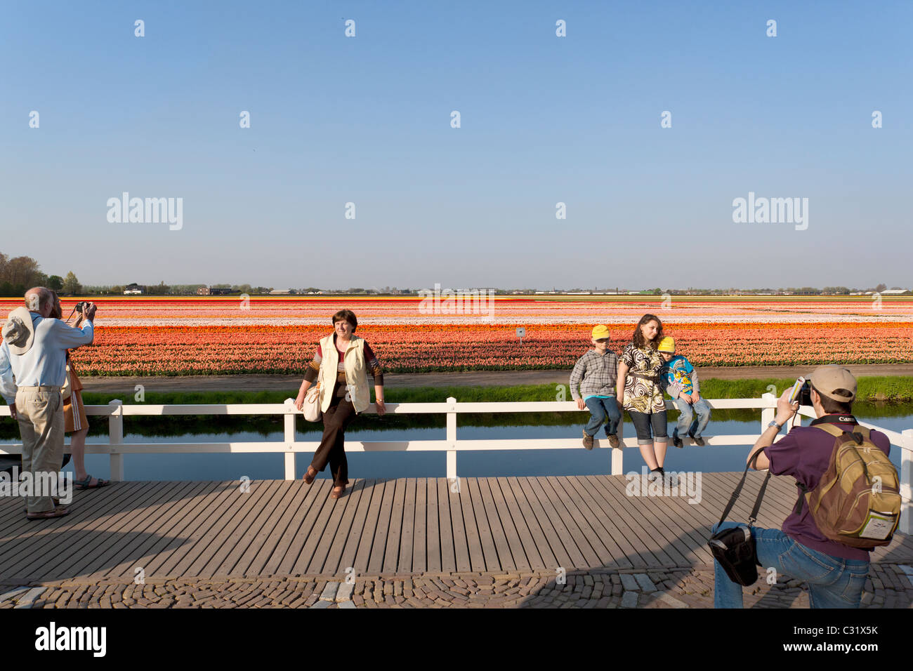 Visitors of the Dutch Keukenhof Flower Garden posing for holiday pictures in front of colorful tulip fields in full bloom. Stock Photo