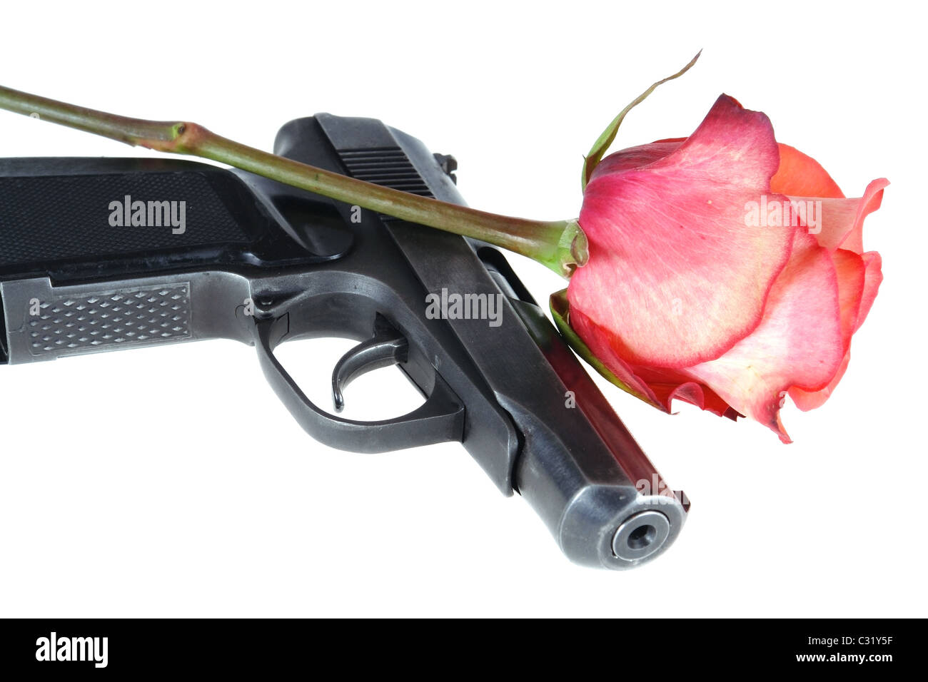 gun and rose isolated on white background Stock Photo