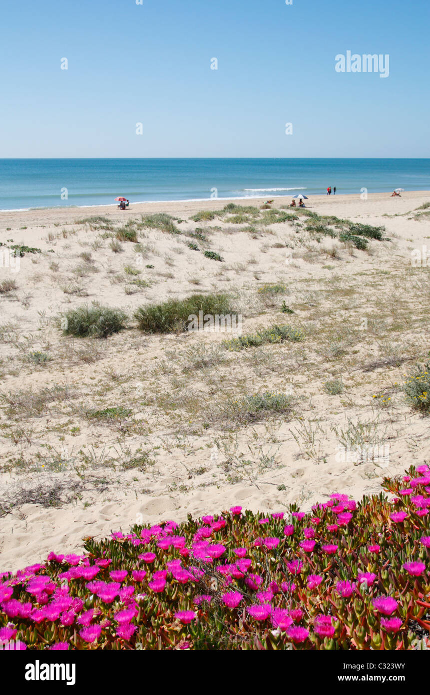 isla-cristina-huelva-hi-res-stock-photography-and-images-alamy