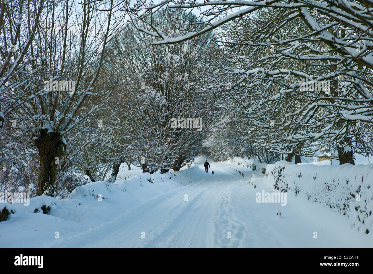 Man walking dog country lane hi-res stock photography and images - Alamy