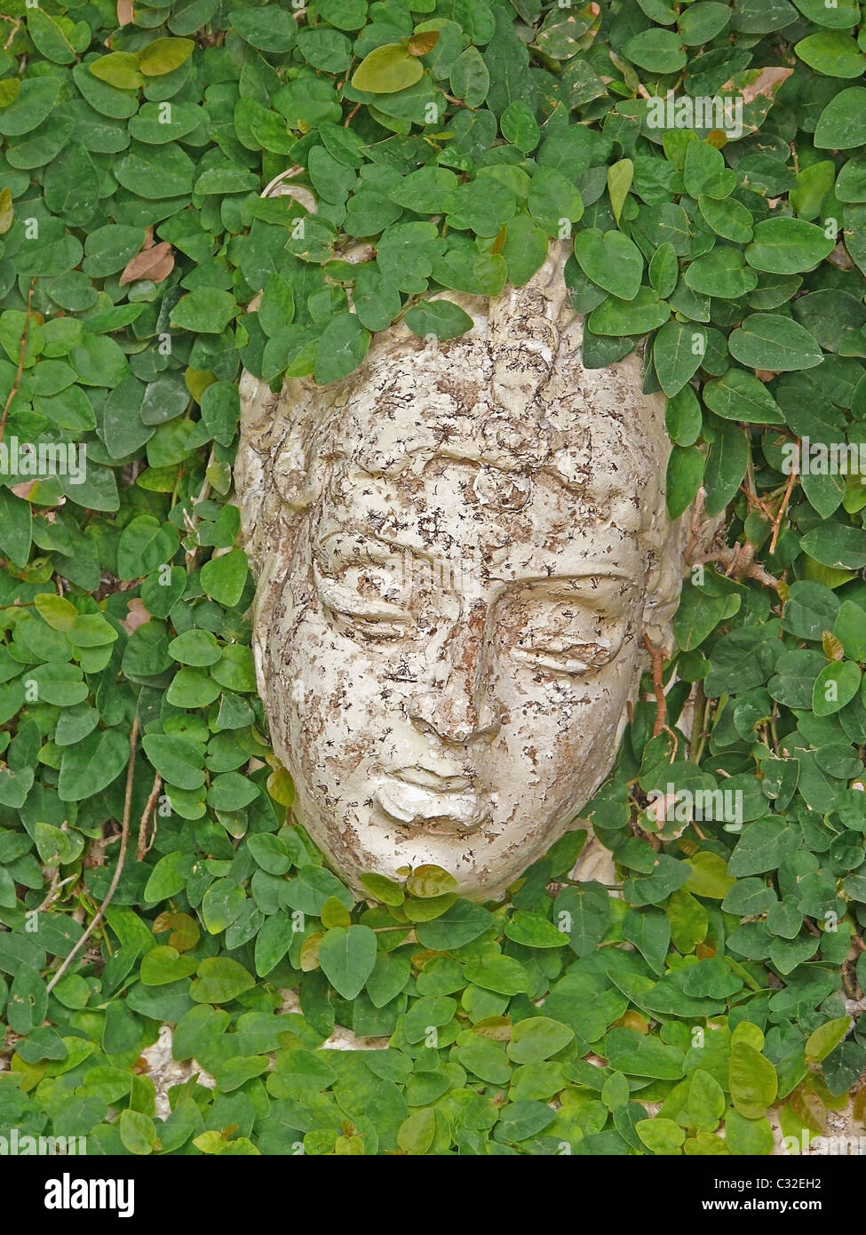 Old Sculpture in a Garden wrapped with creeping plant, Sarasbaug, Pune, Maharashtra, India Stock Photo