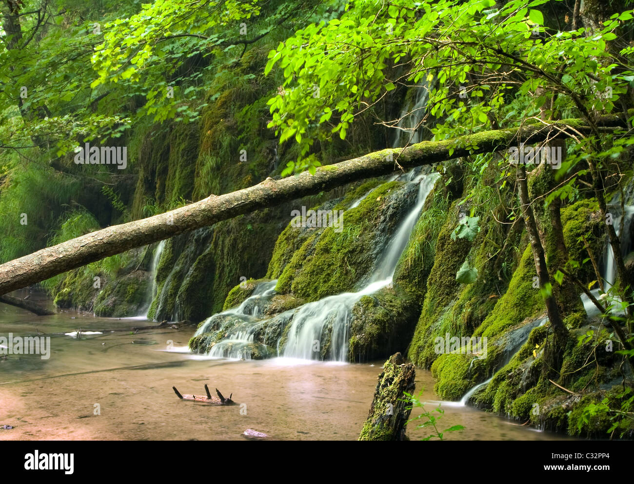 Beautiful waterfalls in the forest Stock Photo - Alamy