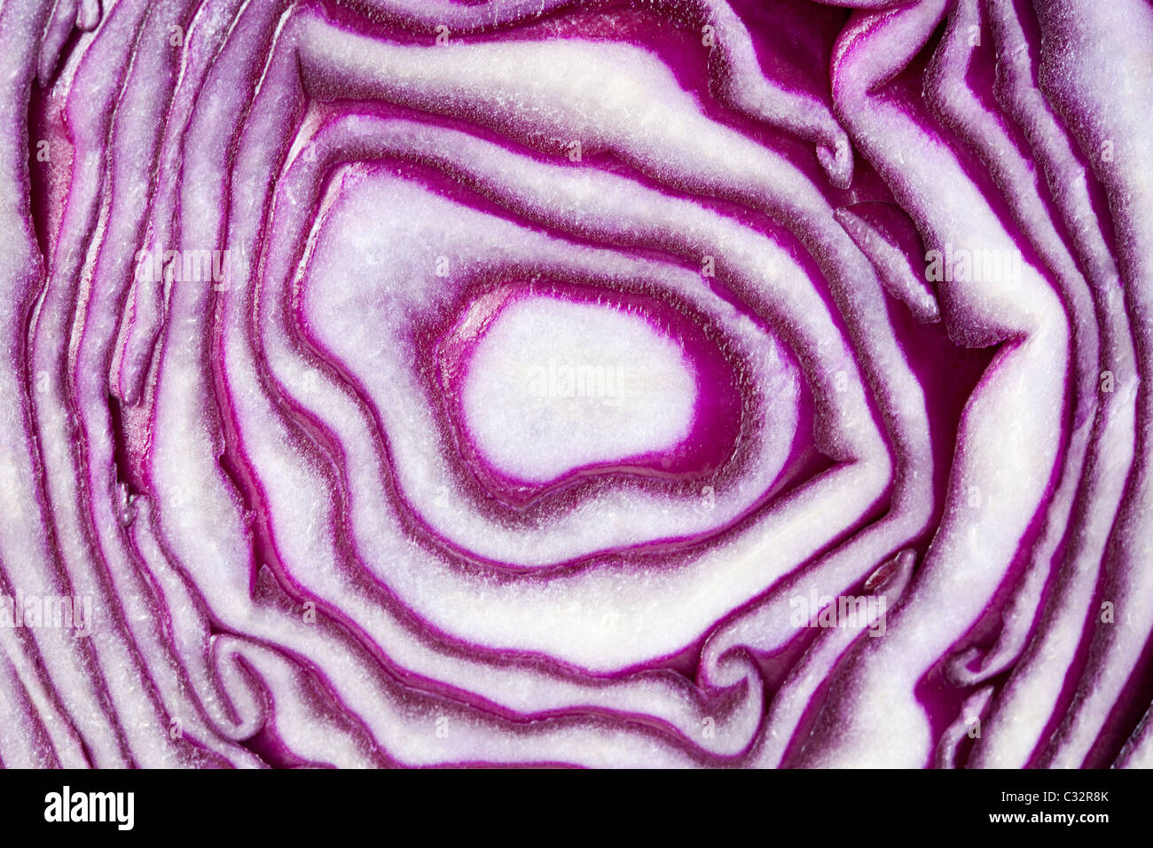 Sliced red cabbage, close up Stock Photo