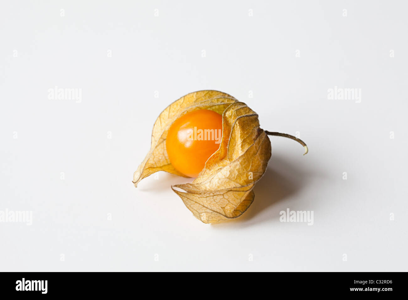 Physalis on white background Stock Photo