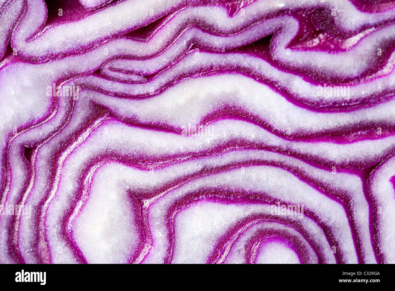 Sliced red cabbage, close up Stock Photo
