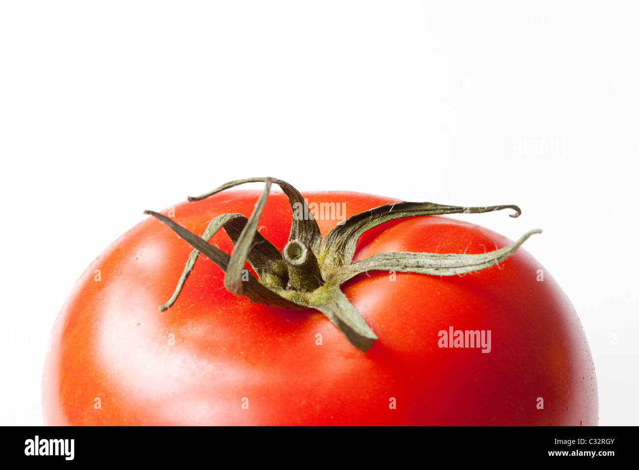 Tomato on white background Stock Photo