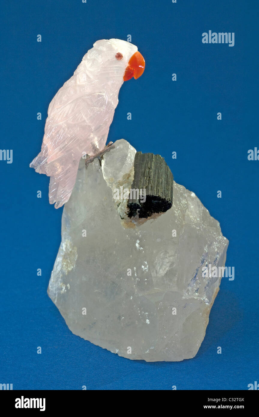 Parrot made of Rose Quartz standing on a crystal with tourmaline. Studio picture against a blue background. Stock Photo