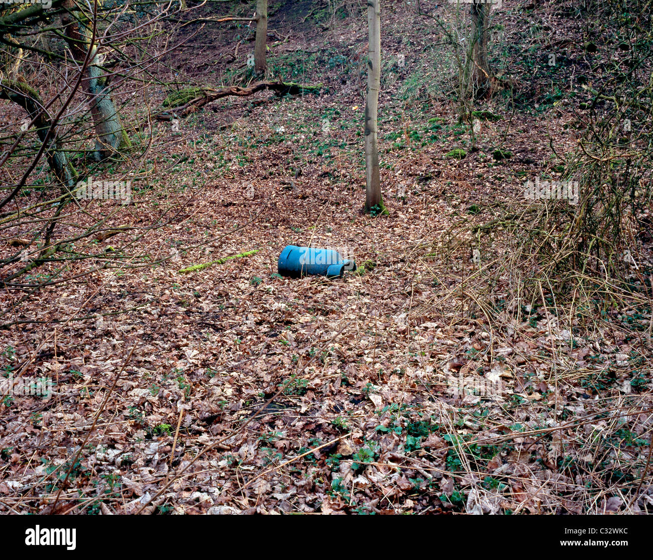 An old gas bottle in the woods fly tipping Stock Photo Alamy
