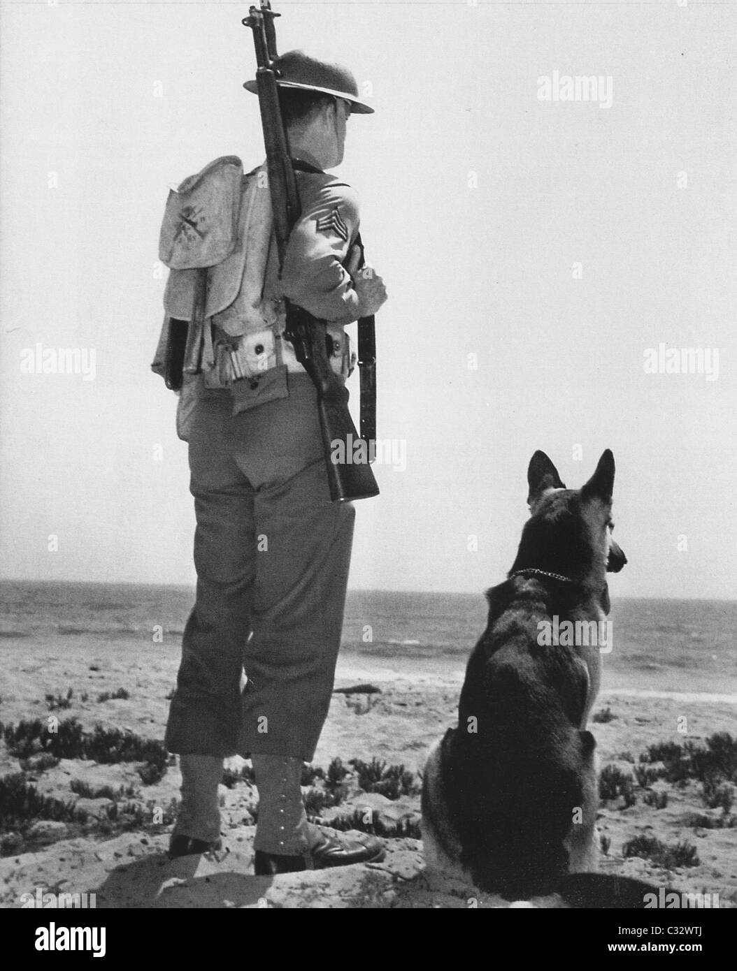 An American soldier and hist Alsatian watch the coast for any sign of the enemy. Stock Photo