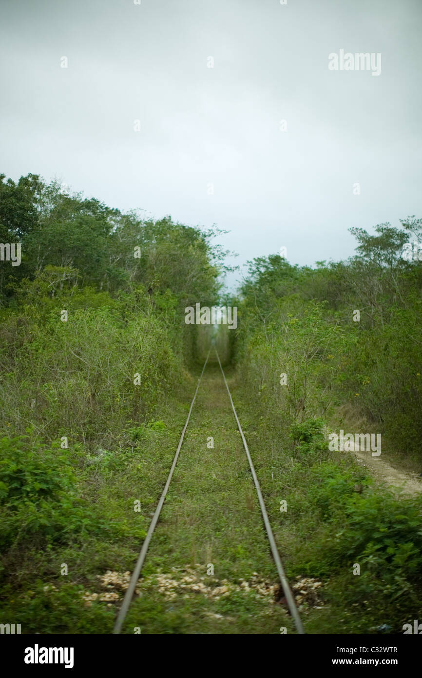 Railway through the jungle Stock Photo