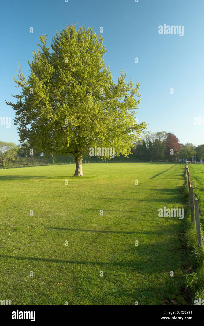 Burpham village green in early spring sunshine. Stock Photo