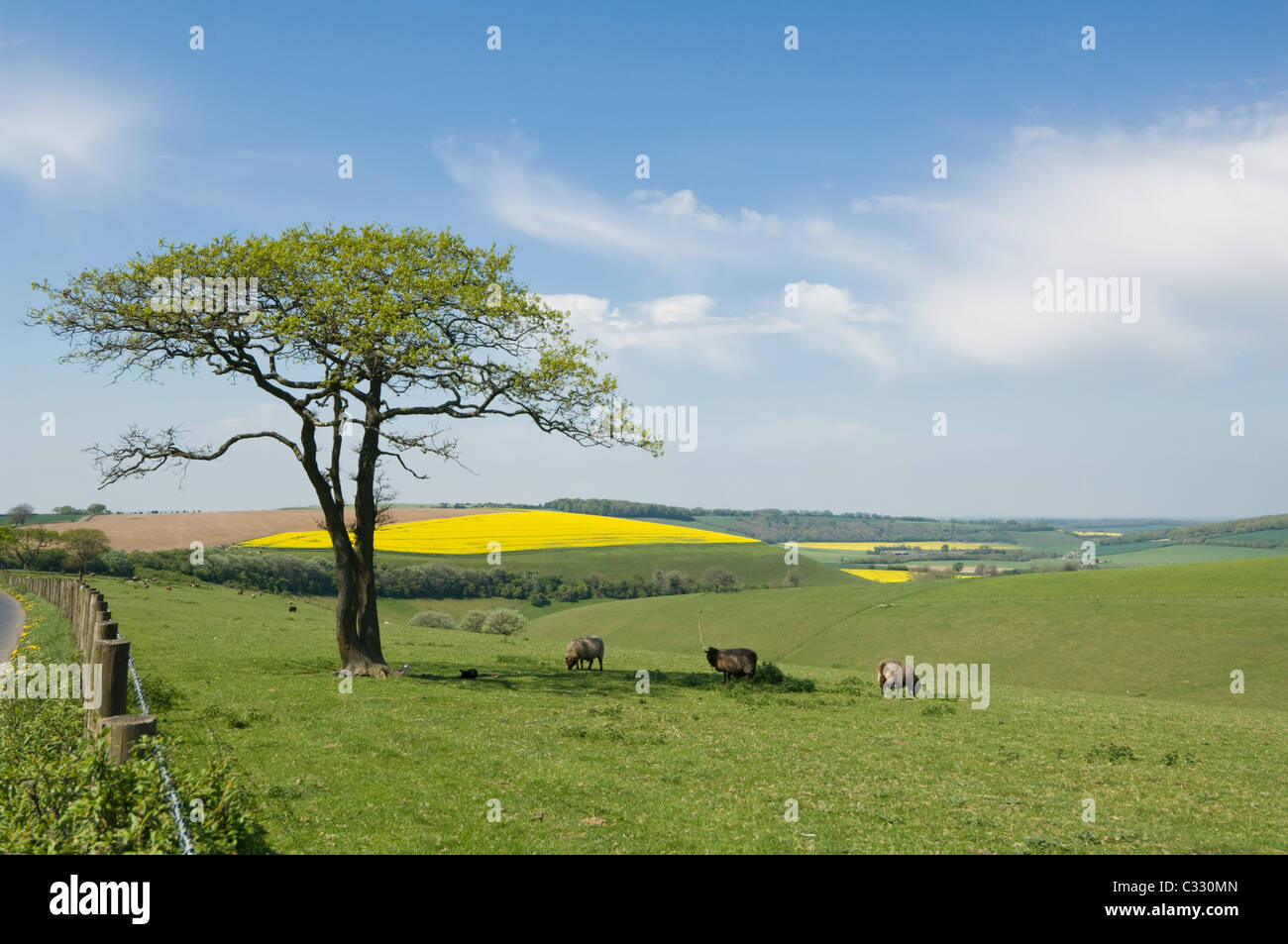 Hampshire countryside view hi-res stock photography and images - Alamy