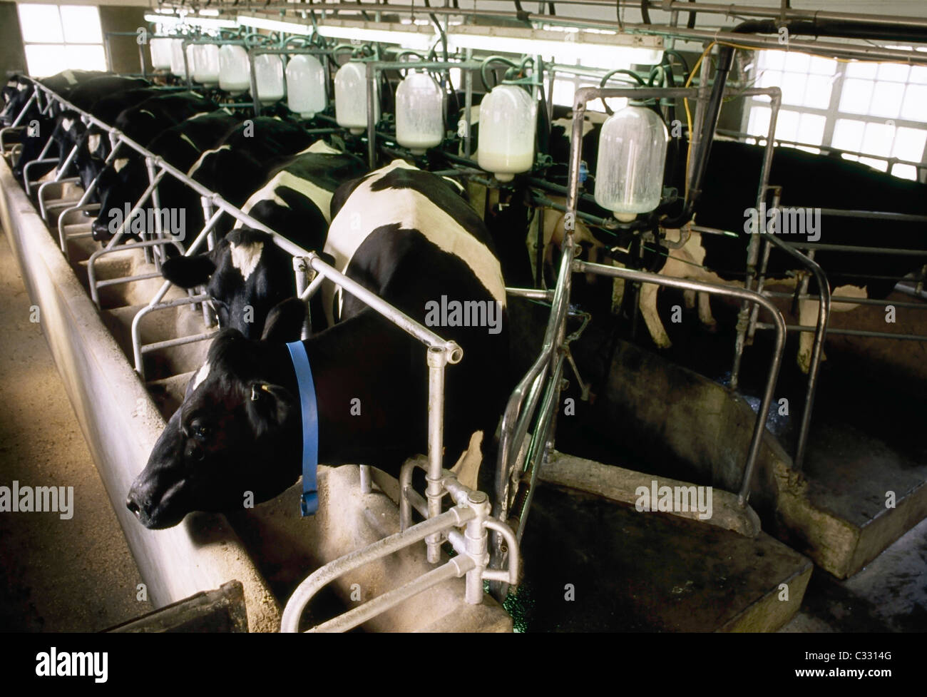 Ireland, Farm Building, Milking Parlour Stock Photo Alamy